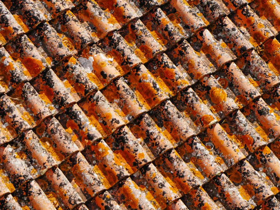 Tejas de cerámica de un tejado tradicional español