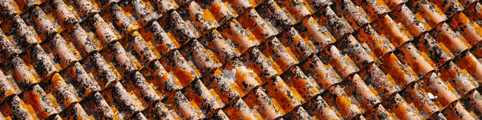 Detalle de tejas de cerámica en un tejado tradicional