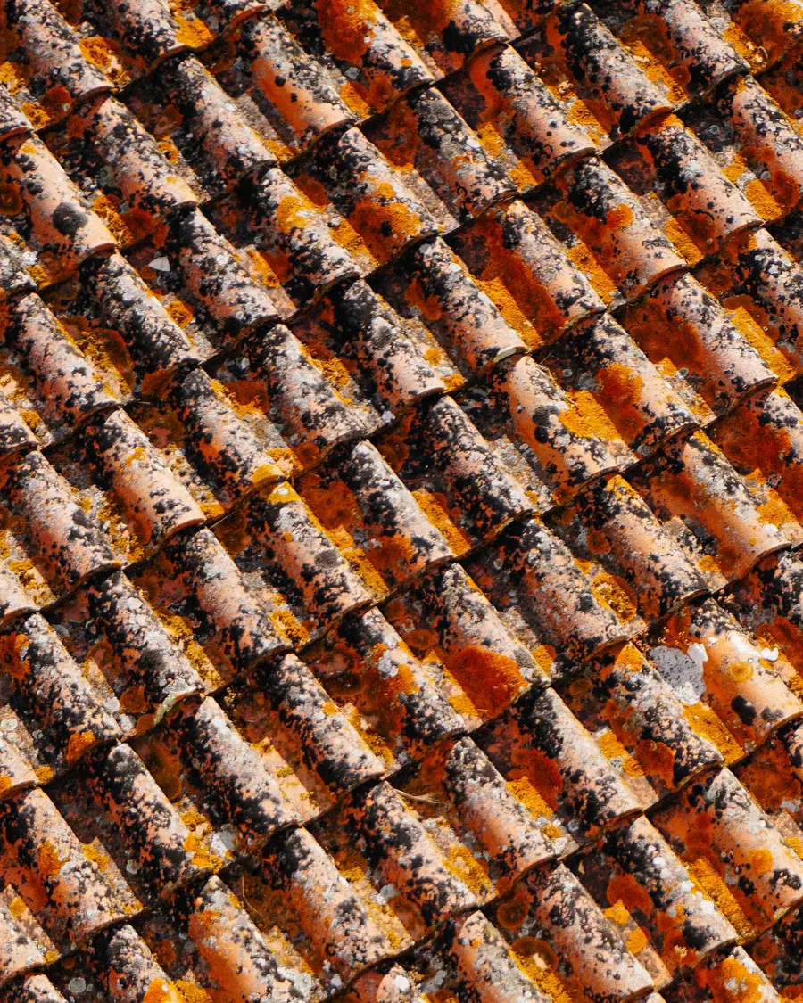 Detalle de tejas de cerámica de un tejado tradicional